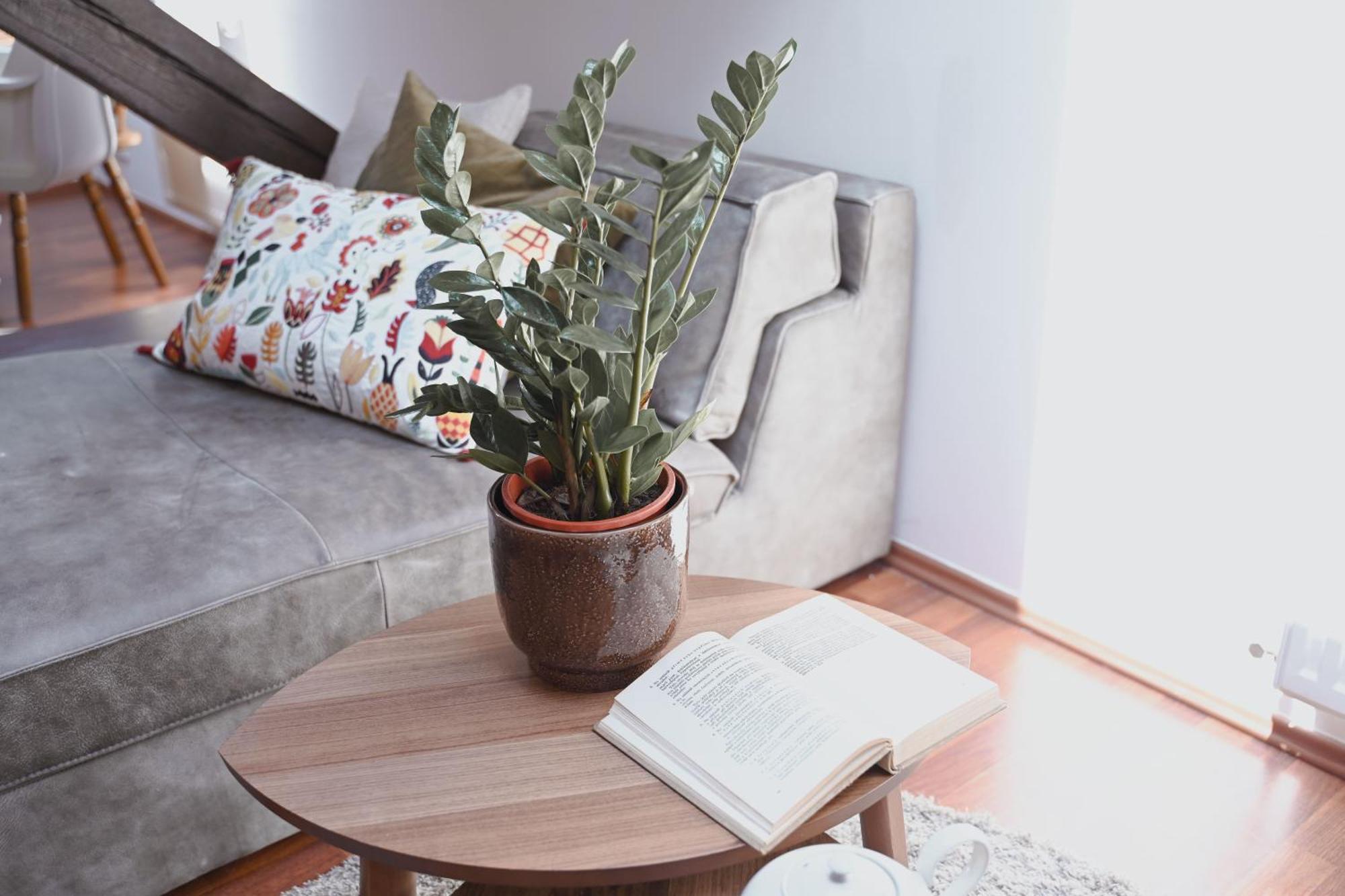Bohemian Symphony Apartment Prague Luaran gambar